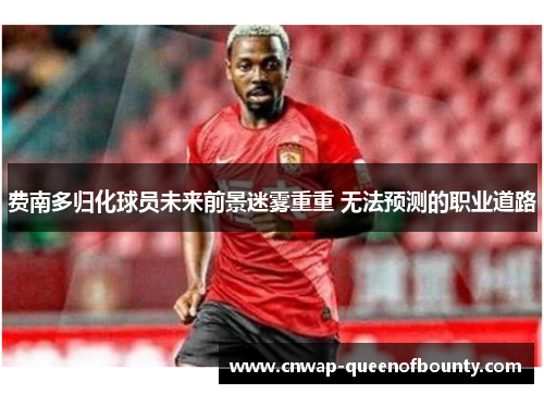费南多归化球员未来前景迷雾重重 无法预测的职业道路