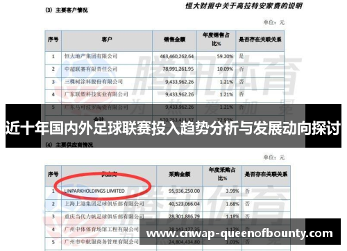 近十年国内外足球联赛投入趋势分析与发展动向探讨