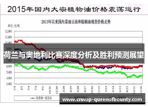 荷兰与奥地利比赛深度分析及胜利预测展望