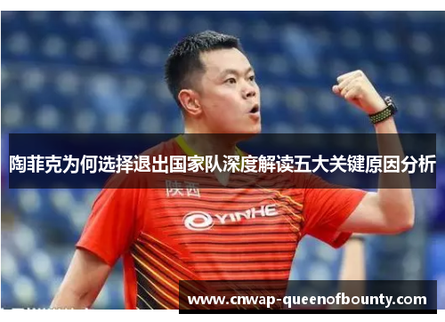 陶菲克为何选择退出国家队深度解读五大关键原因分析